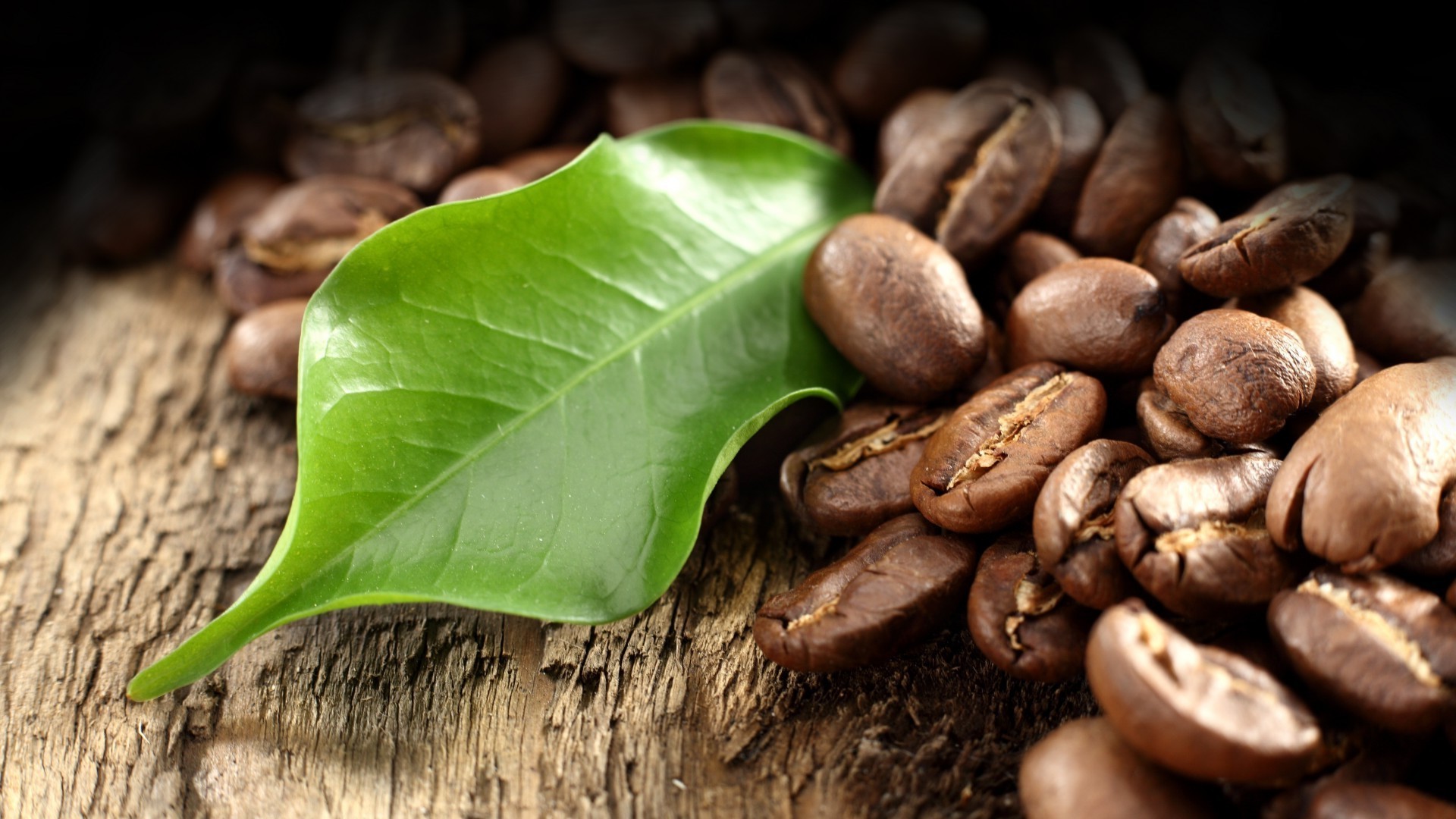 coffee food bean close-up perfume leaf seed healthy health