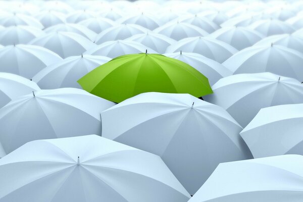 One bright green umbrella on a white background