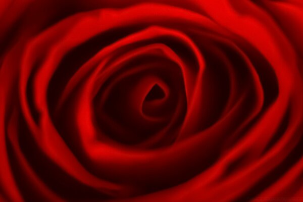 The fabric is red in the shape of a rose