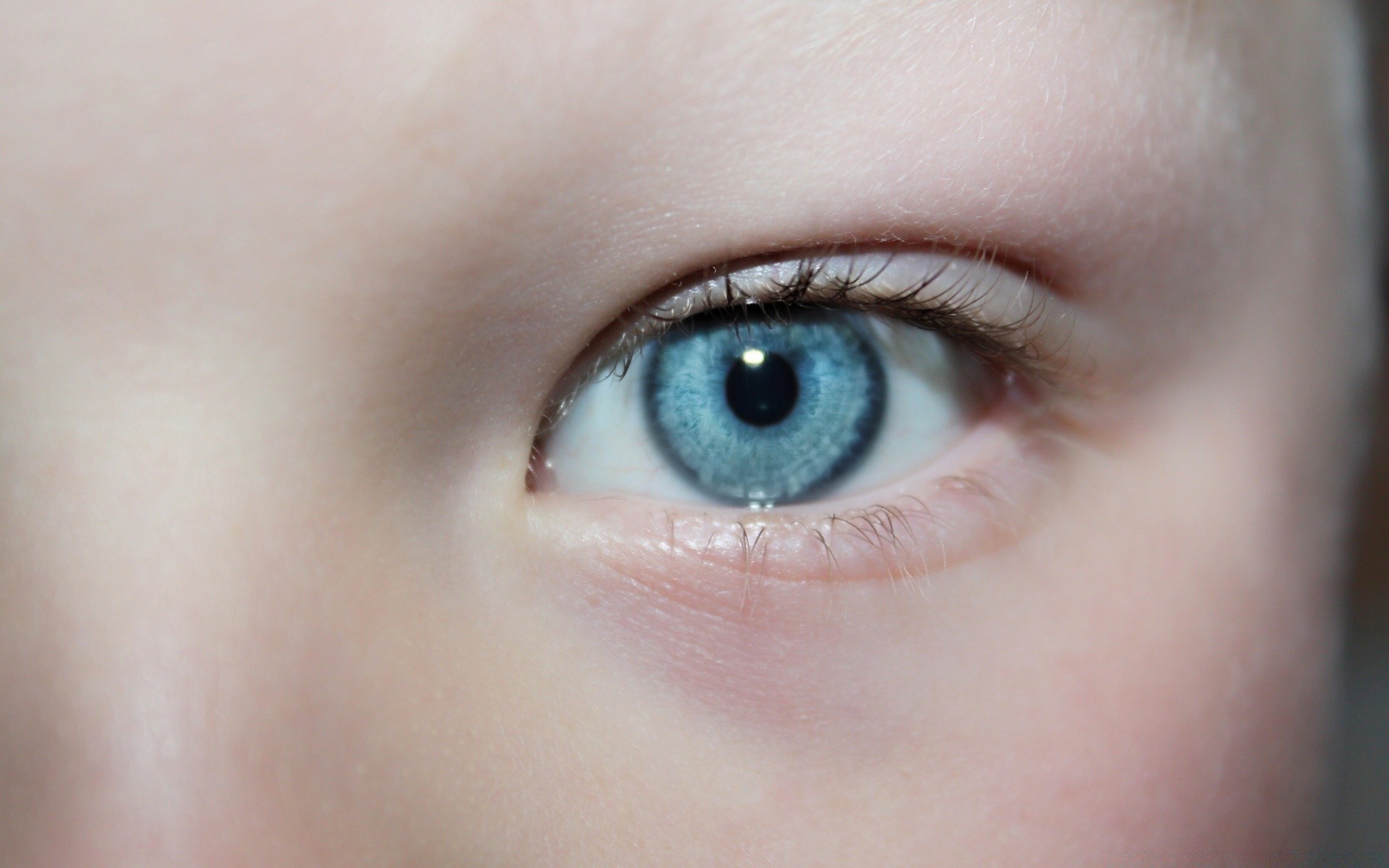 macro eye woman eyesight girl face skin portrait eyeball look young one fashion