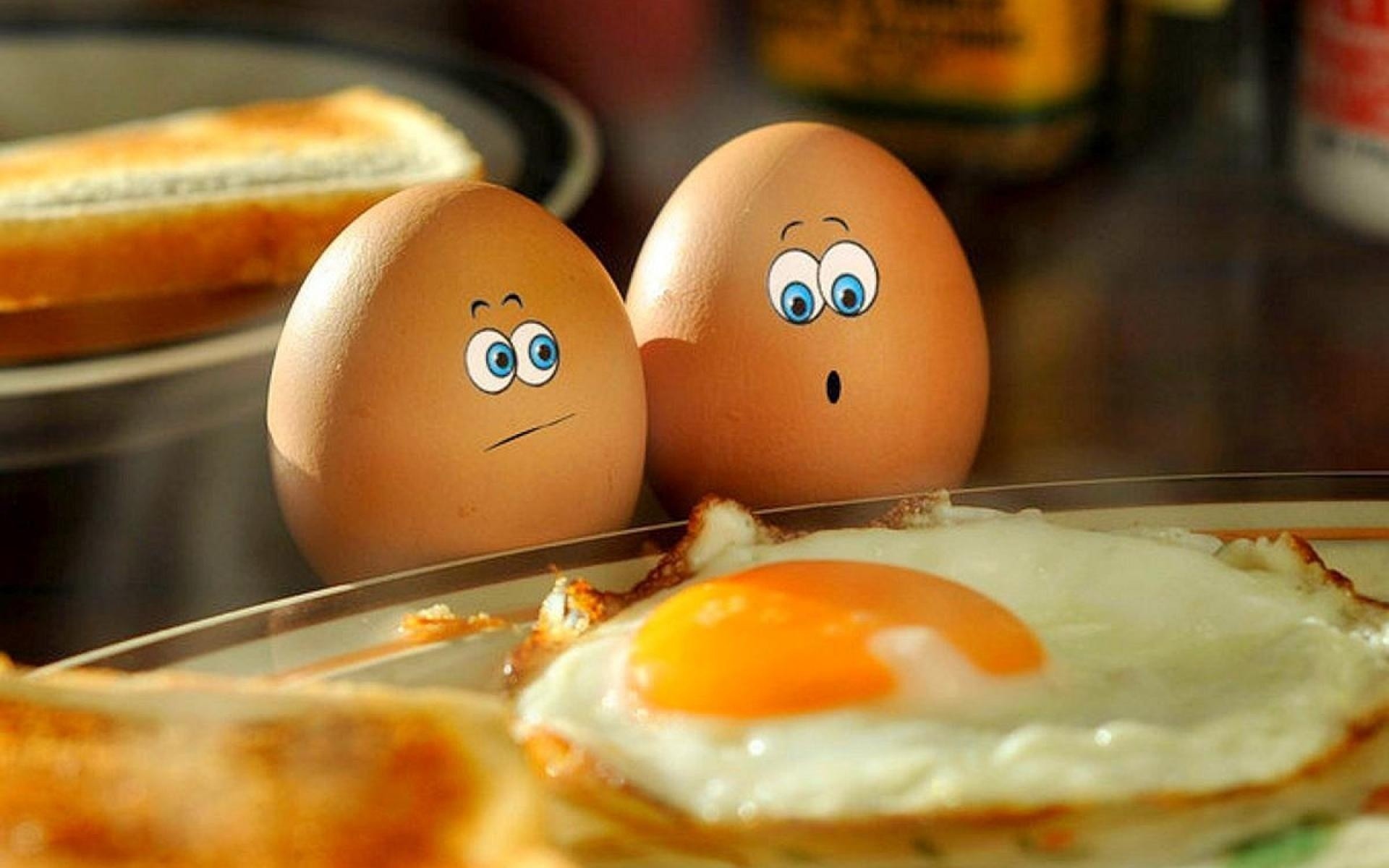 black humor egg breakfast food egg yolk cooking dawn meal bread chicken nutrition cholesterol delicious toast baking lunch traditional homemade plate table