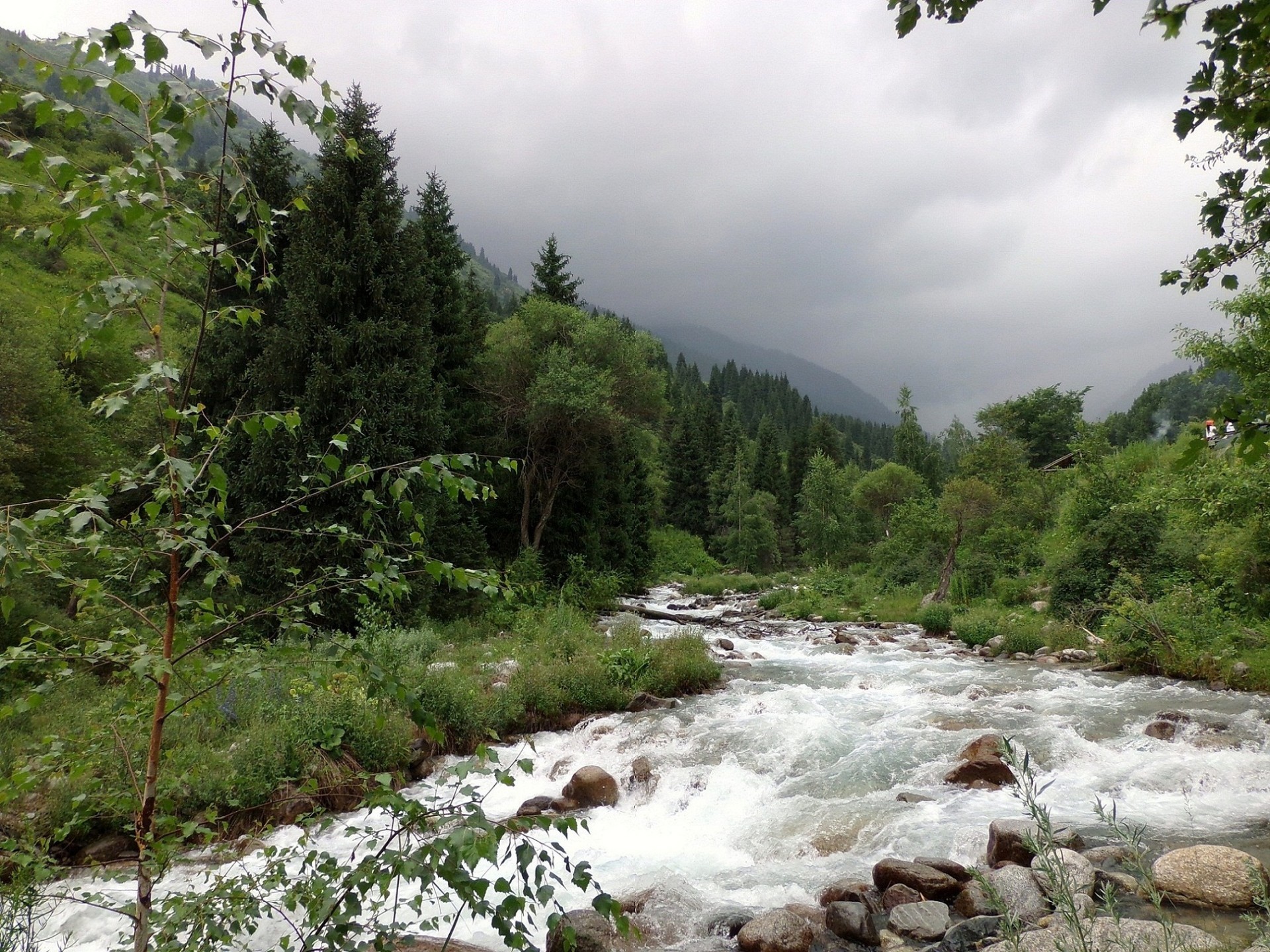 native open spaces water nature landscape river travel waterfall stream outdoors rock wood mountain summer tree environment stone scenic park wild leaf