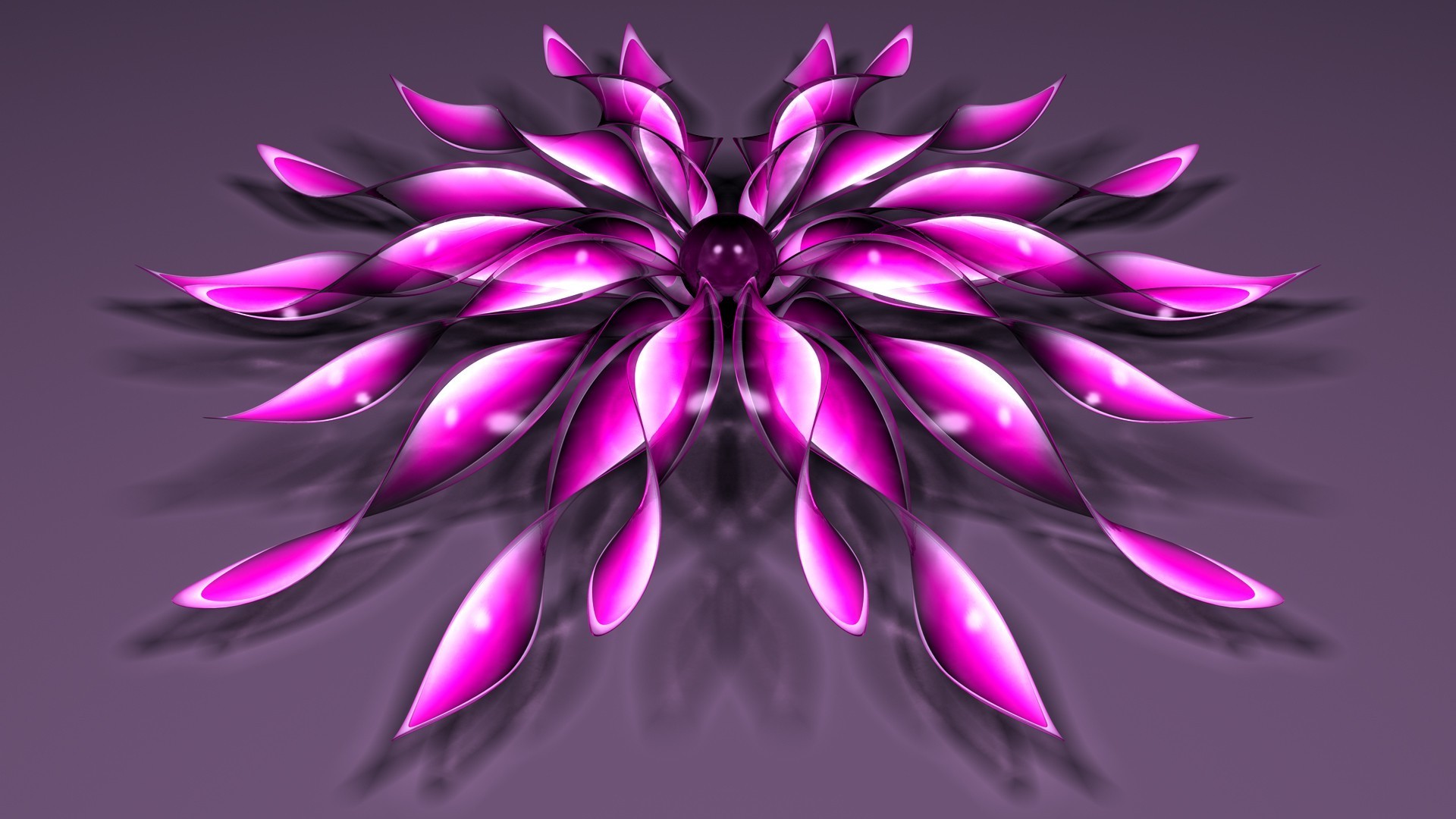 abstract decoration color nature desktop flower design beautiful pattern bright floral illustration art flora