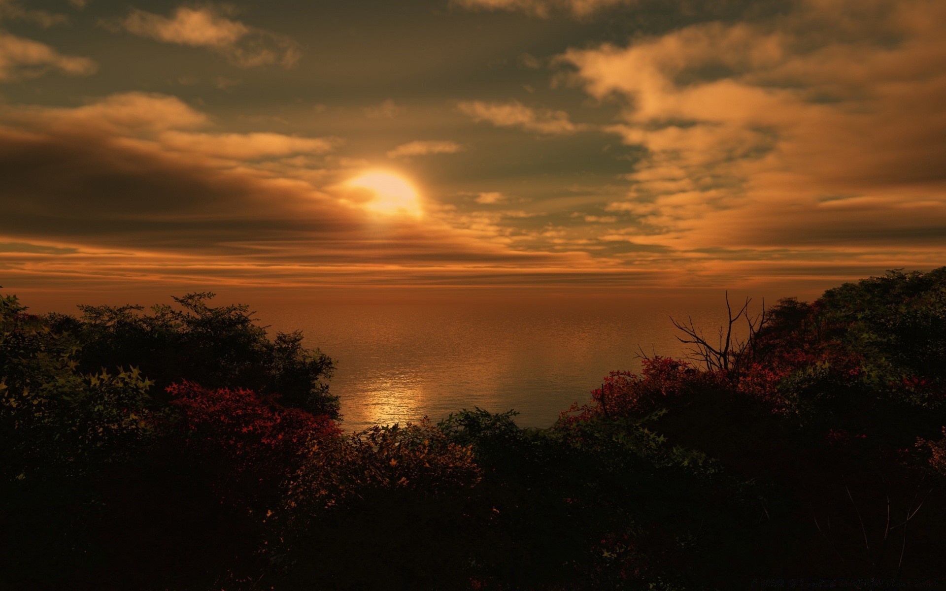 3d graphics sunset dawn landscape sun evening fog dusk sky nature tree backlit outdoors mist light fair weather