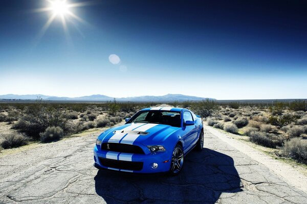 A sports car. Bright blue with white stripes