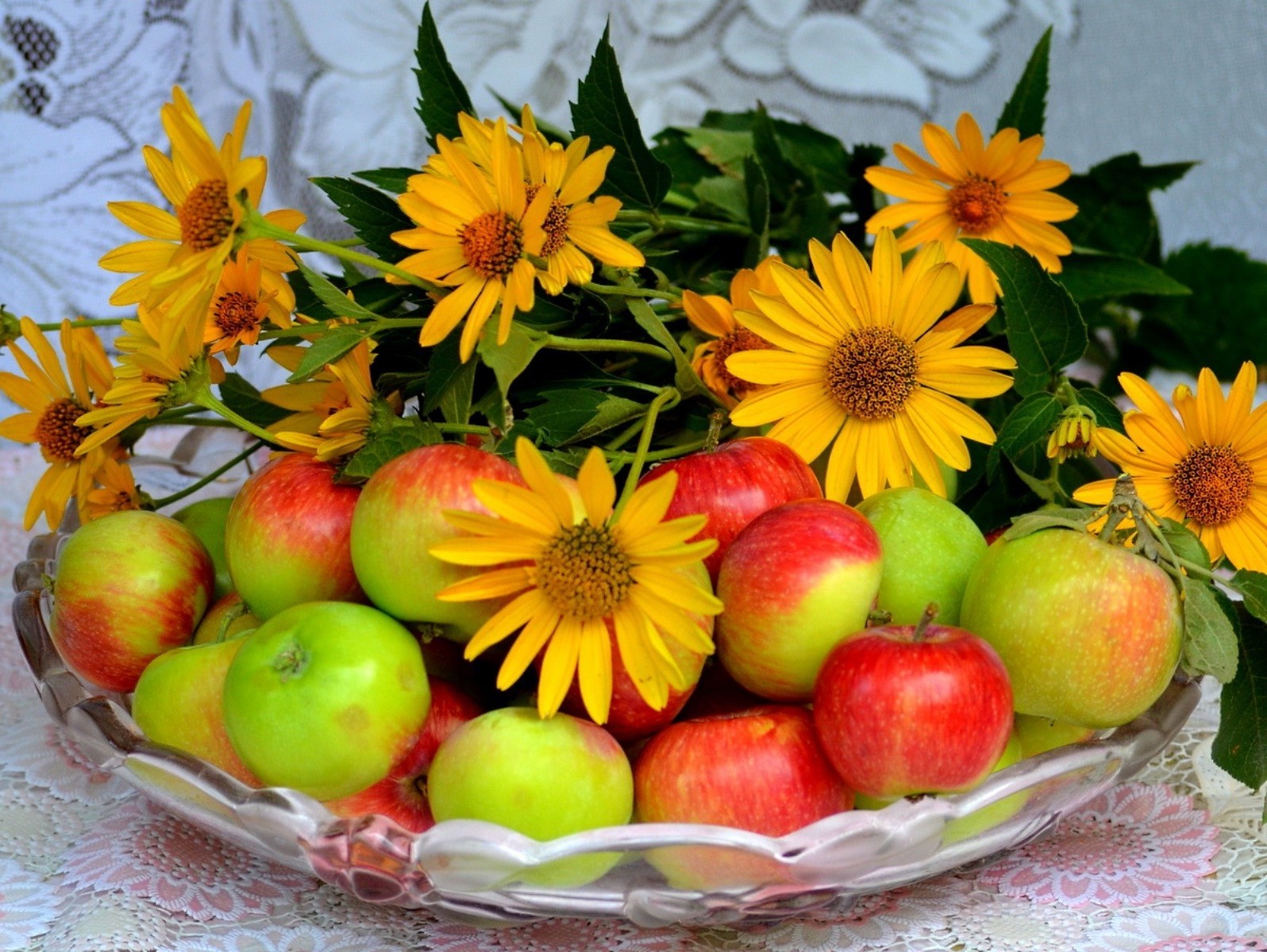 food & drink leaf fruit apple nature fall food summer bright garden
