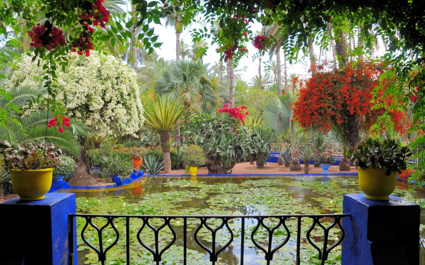 rivers ponds and streams garden flower tree flora summer pool patio tropical decoration nature botanical leaf park color hotel shrub resort palm vacation