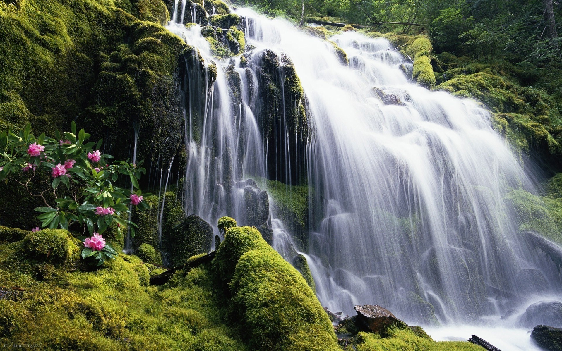 waterfalls waterfall water nature wood river stream cascade rock landscape outdoors moss fall travel leaf mountain park wild flow wet