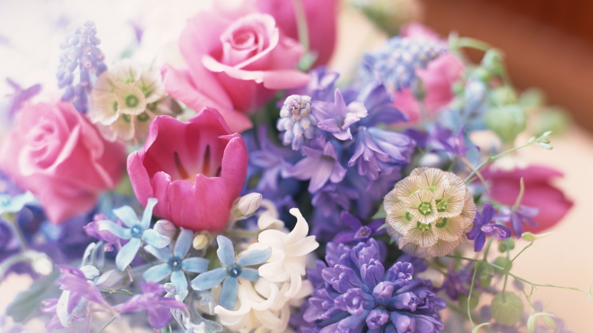 a bouquet of flowers flower flora bouquet nature decoration floral color beautiful blooming petal summer garden leaf gift wedding