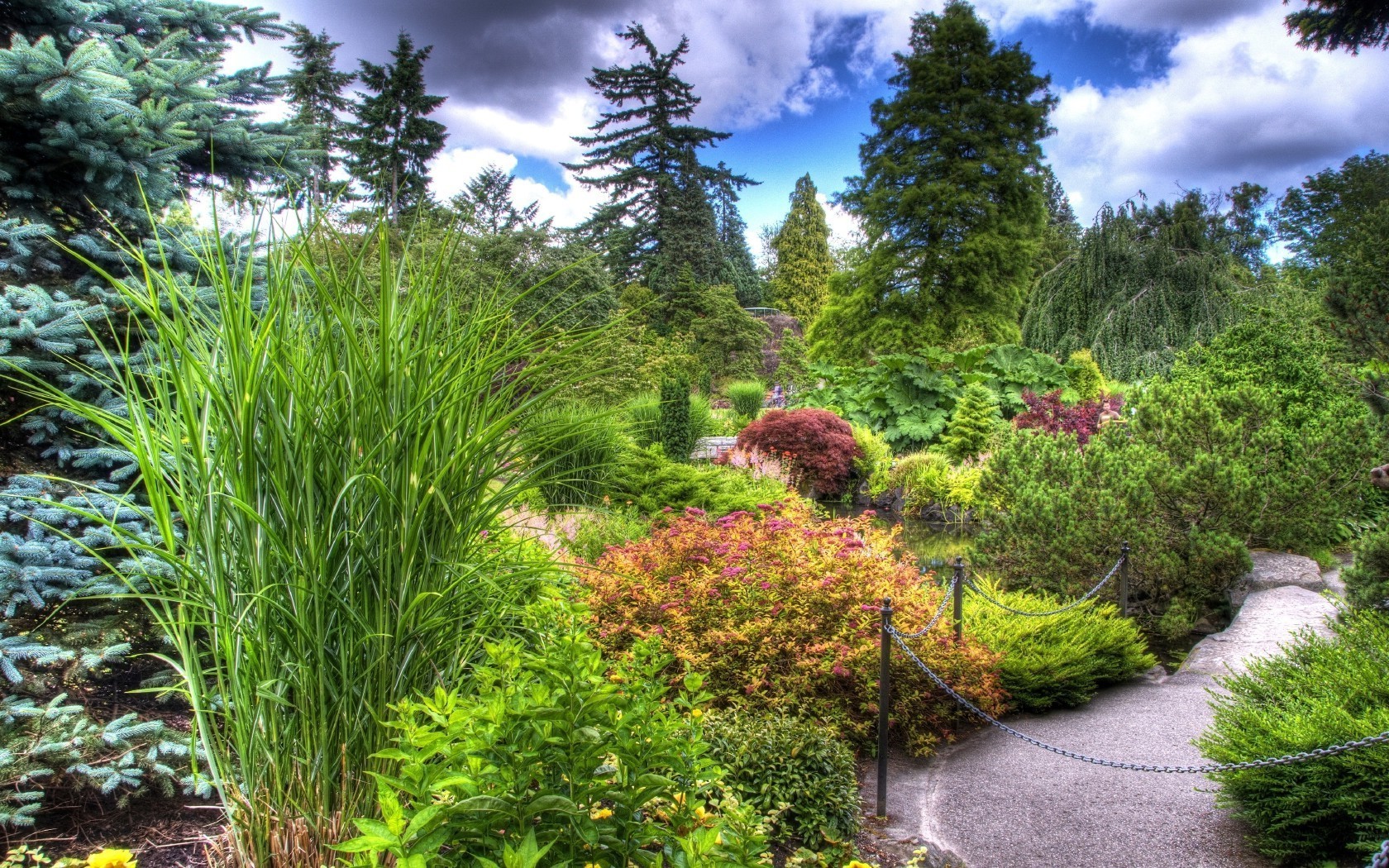 landscapes nature tree garden landscape wood summer flora leaf park grass outdoors flower environment fair weather sight season lawn guidance growth