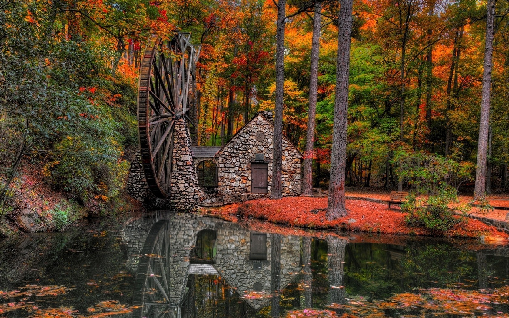 rivers ponds and streams fall leaf wood tree nature landscape outdoors park water maple travel scenic river