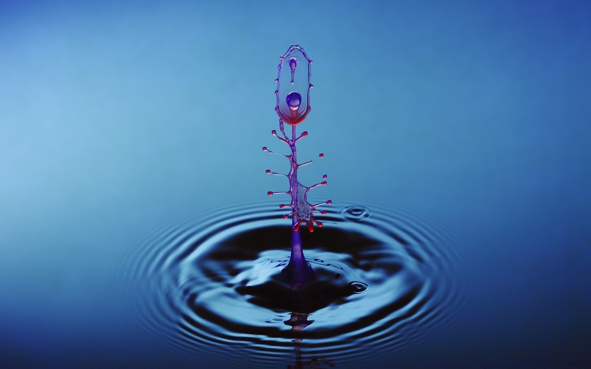 macro nature rain drop water purity reflection splash sky wave desktop color wet ripple clear