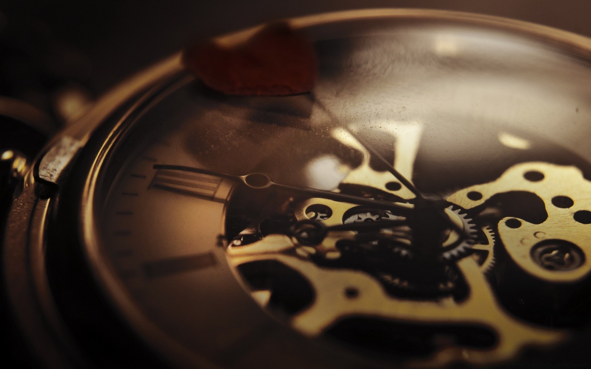 macro clock watch time vintage business precision analogue still life technology