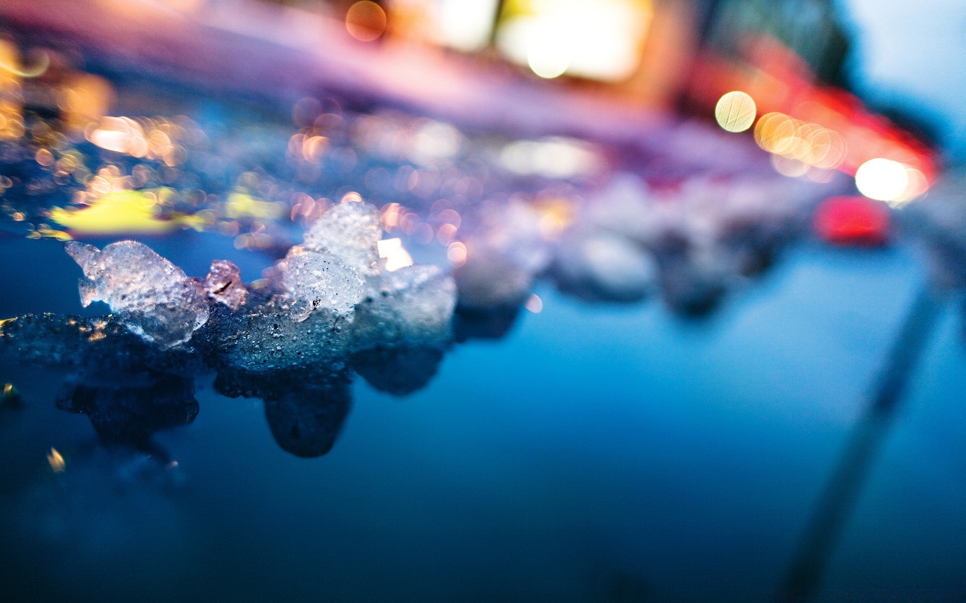 macro water underwater blur fish ocean sea light color swimming