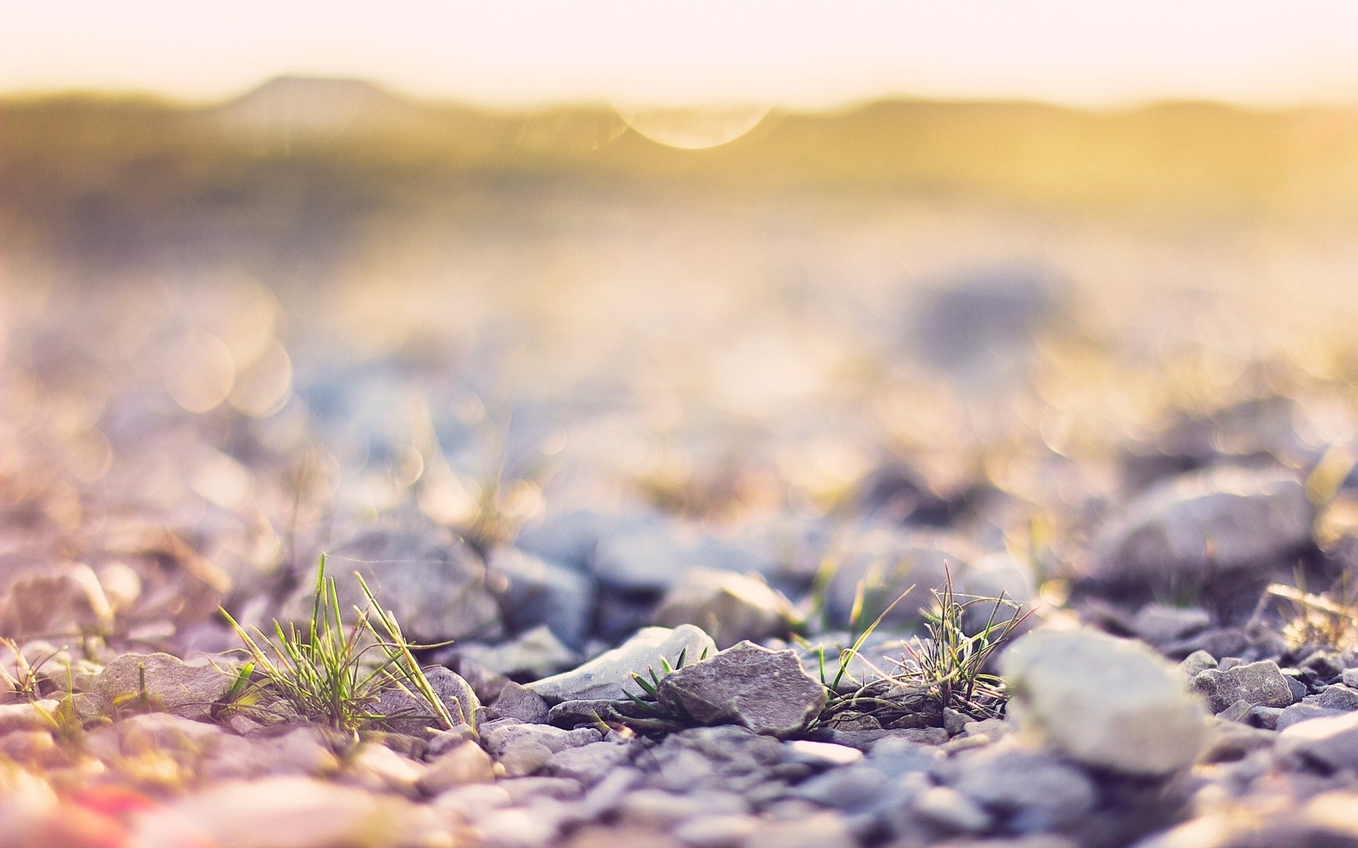 macro nature landscape desert dry sunset sky soil beach ground summer fair weather sand desktop field sunny outdoors sun rock grass travel