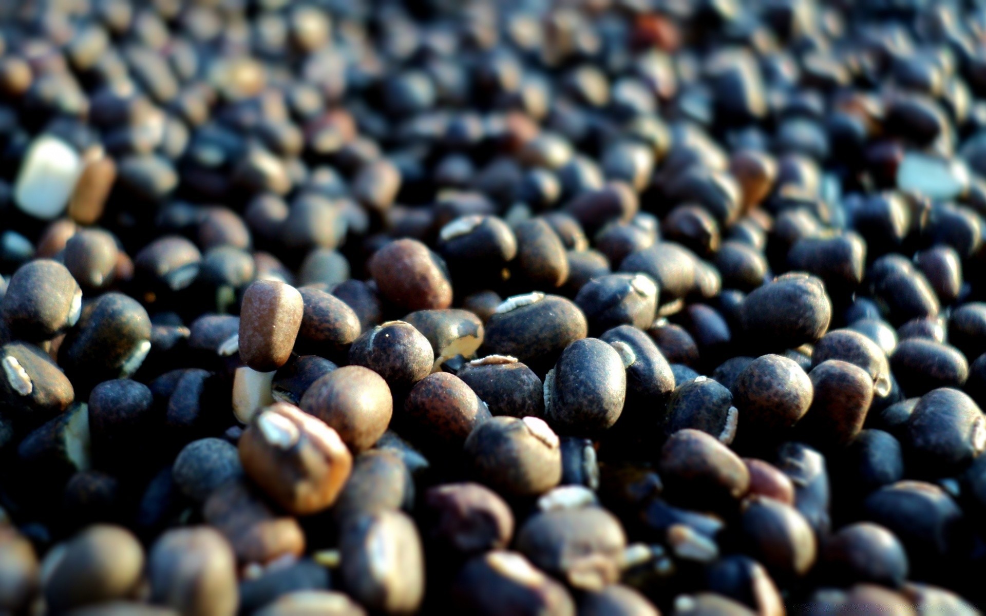 macro food batch texture pile desktop crop close-up many nutrition bean seed cereal dry pasture abundance fruit agriculture