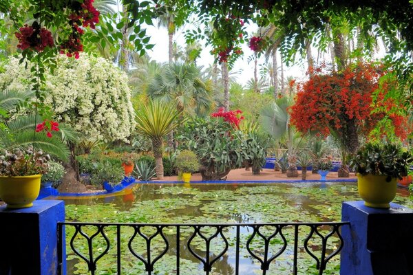 Fabulously beautiful nature and flowers by the pond