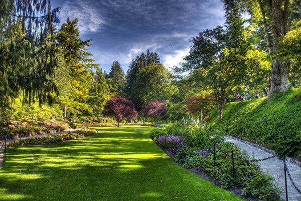A corner of a beautiful green garden