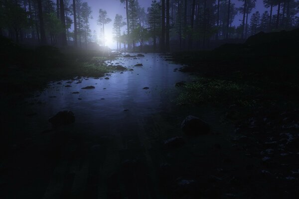 A river illuminated by the moon in the night forest