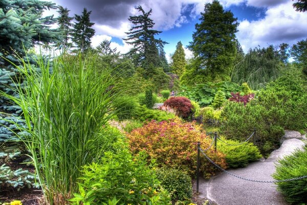 Summer landscape gardening