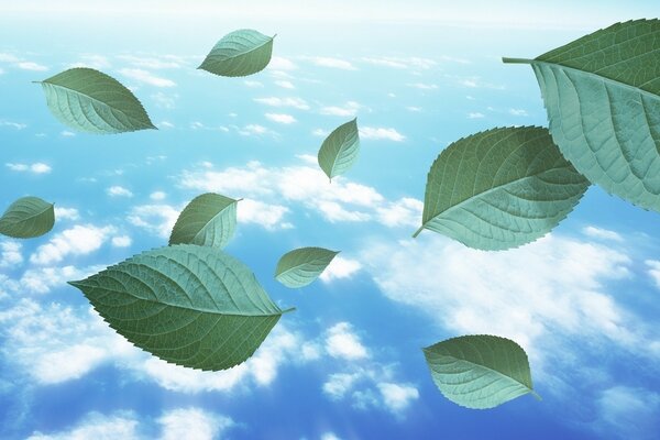 Green leaves in the earth s amosphere