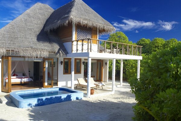Bungalow with pool surrounded by greenery