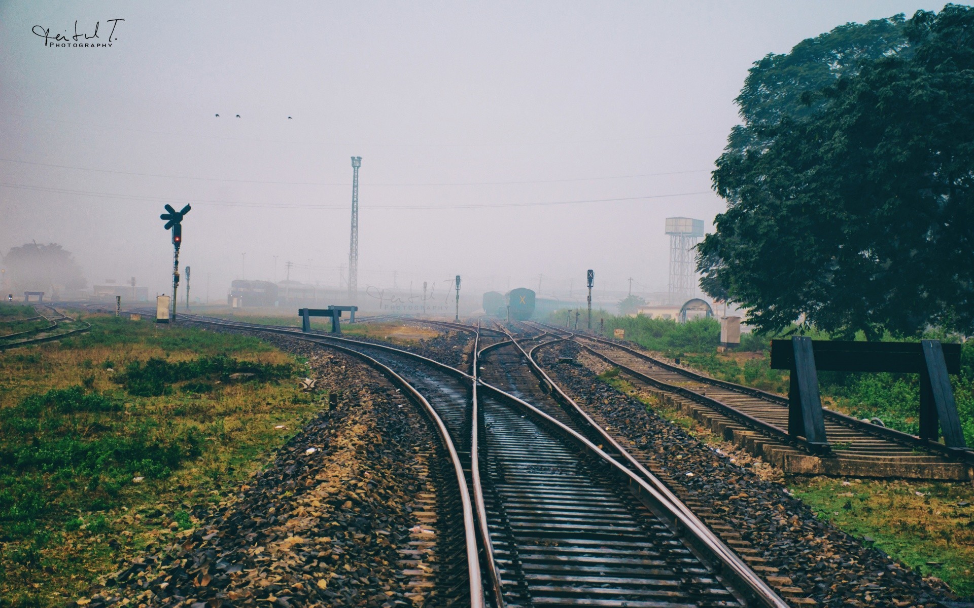 trains railway train transportation system track travel road outdoors guidance daylight sky horizontal landscape tree grass nature