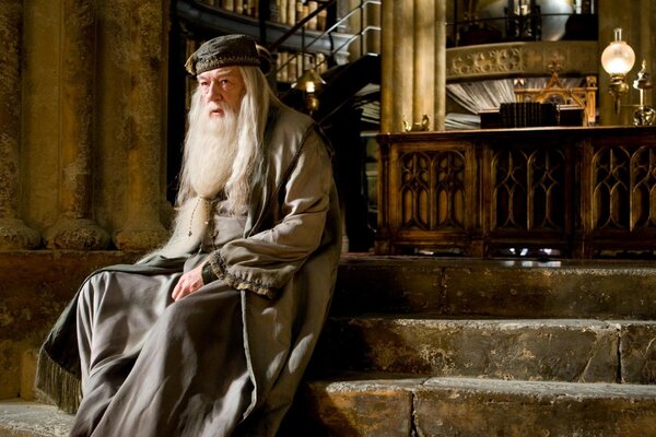 The wise headmaster of the Harry Potter School