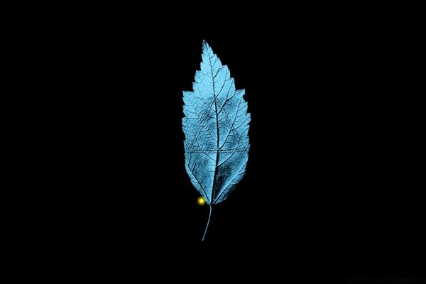 Fringe TV leaf series with integrated isosceles triangle