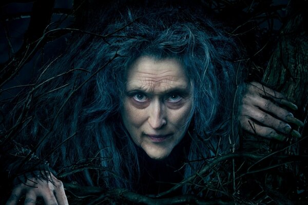 A scary witch straight out of the Middle Ages