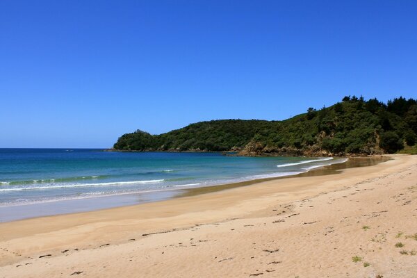 Azure ocean and golden sand