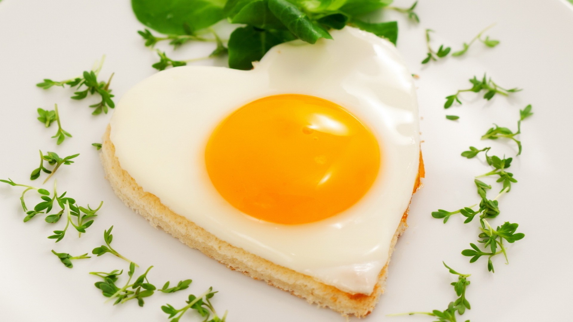 breakfast egg egg yolk food nutrition toast delicious dairy product dawn meal lunch cooking leaf bread butter healthy plate cholesterol