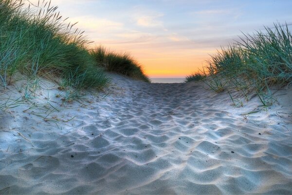 Sandy overgrown path to the sea