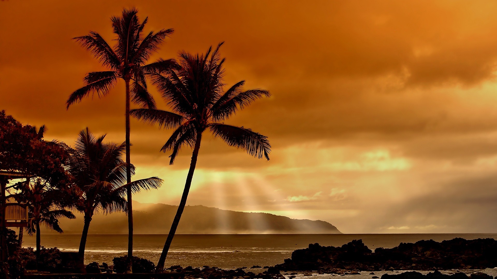 sea and ocean beach sun sunset tropical ocean seascape seashore sand water island dawn exotic palm summer sea idyllic sky coconut fair weather