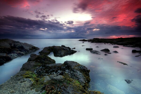 Sea, rocks, pink sunset