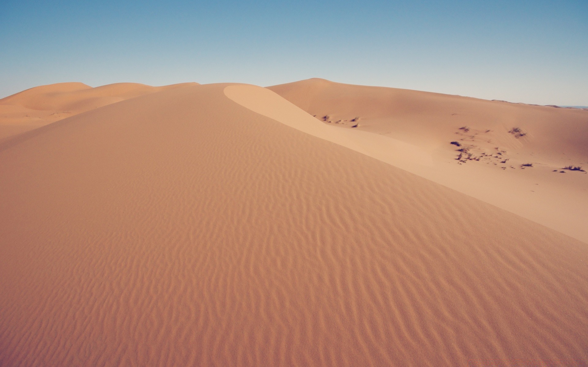 desert sand dune arid barren hot dry adventure alone travel heat loneliness footprint hill landscape drought remote dawn sun
