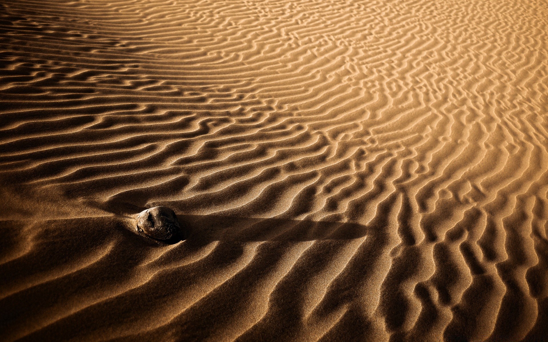 desert sand beach barren footprint alone dune texture seashore wave arid ripple pattern dry desktop shadow