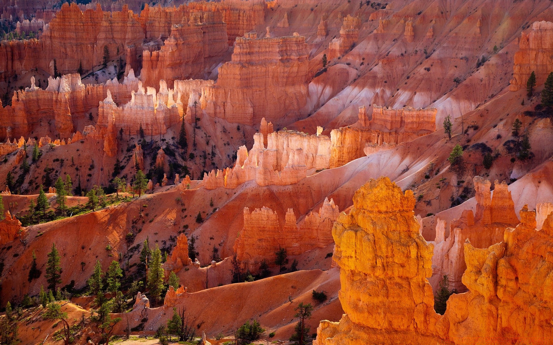 desert outdoors canyon geology travel sandstone landscape fall scenic nature park amphitheater erosion pinnacle rock