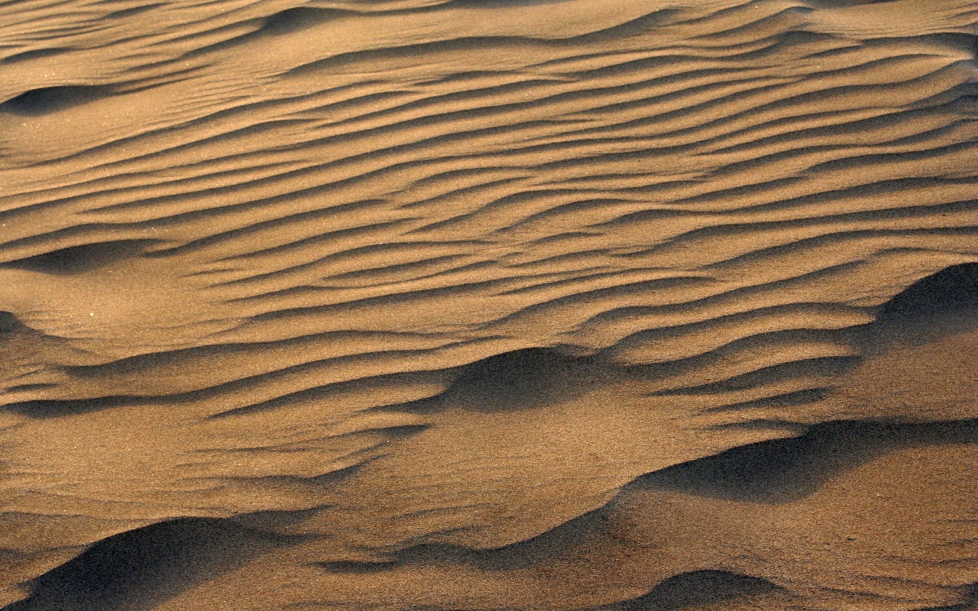 desert sand arid barren dune dry texture adventure pattern beach seashore thirst footprint ripple alone