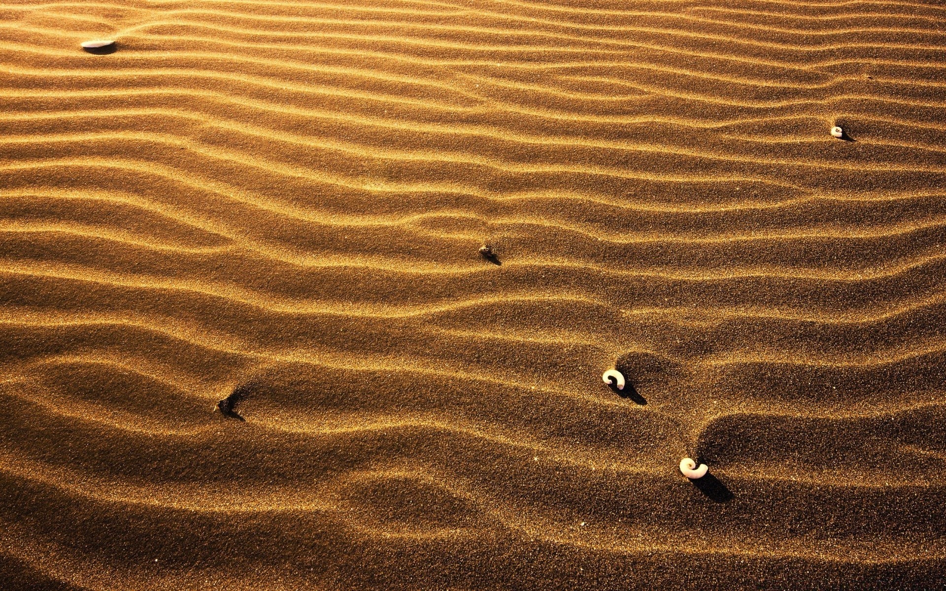 desert sand beach footprint barren seashore footstep alone adventure arid dune texture pattern ripple nature loneliness shadow travel