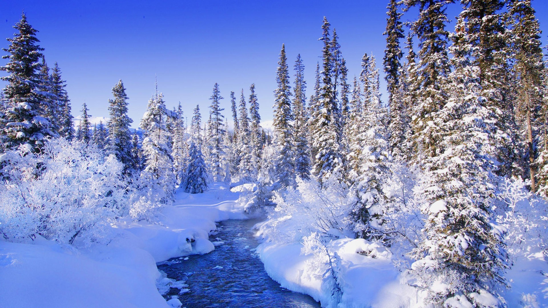 rivers ponds and streams snow winter cold frost wood ice scenic mountain frozen landscape season tree nature fair weather evergreen conifer weather