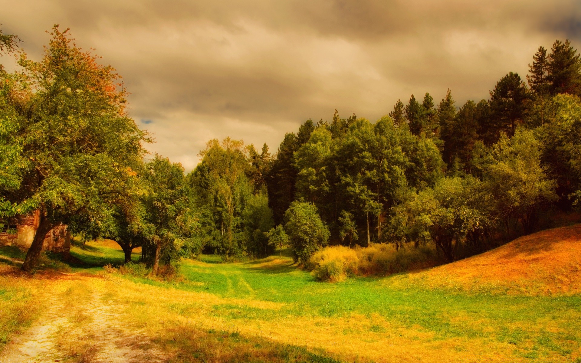 forest tree landscape nature outdoors grass wood dawn fall scenic sky countryside summer fair weather park sunset rural sun environment leaf