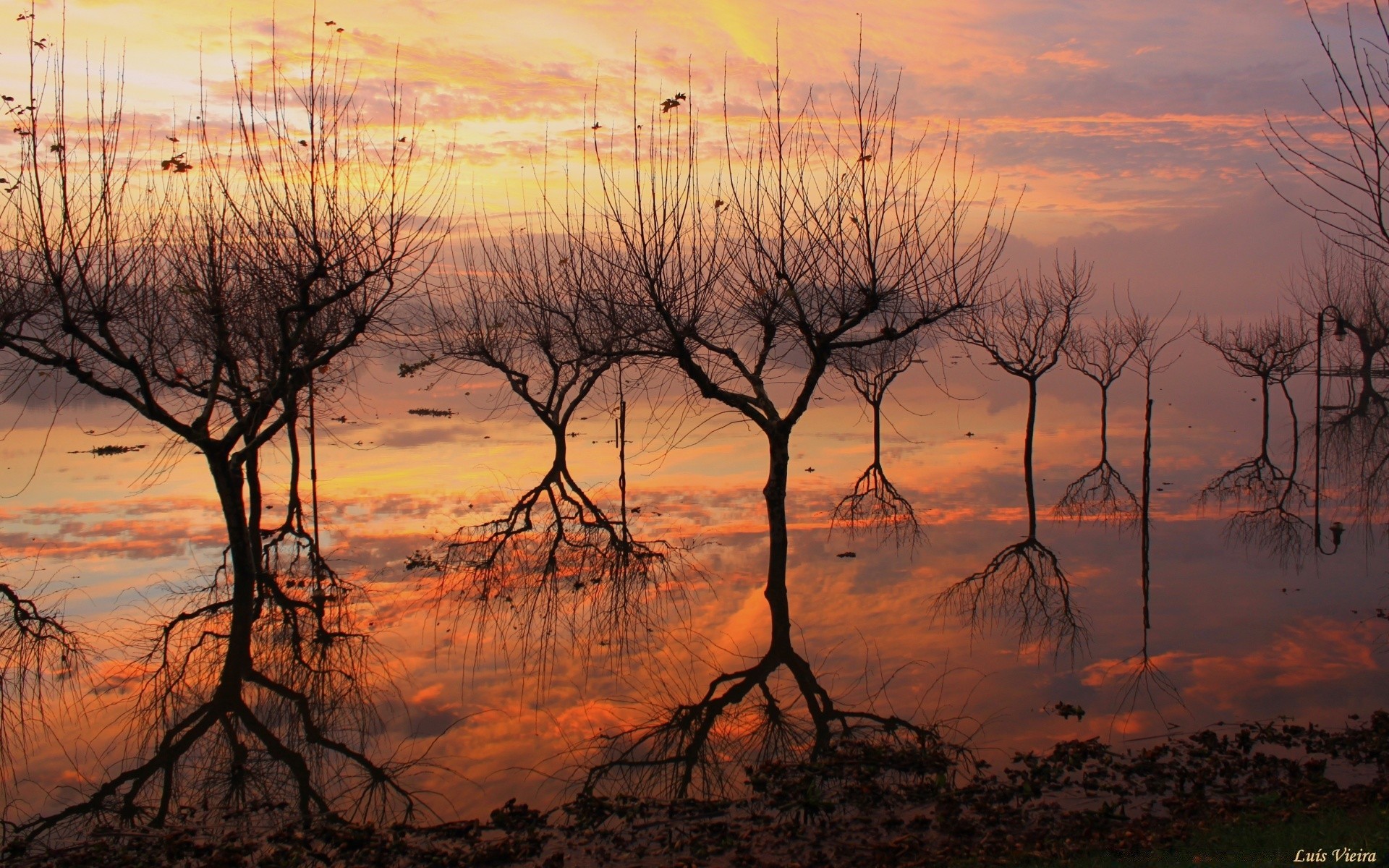 lake sunset dawn landscape tree nature evening dusk silhouette sky sun environment water outdoors fall wood weather