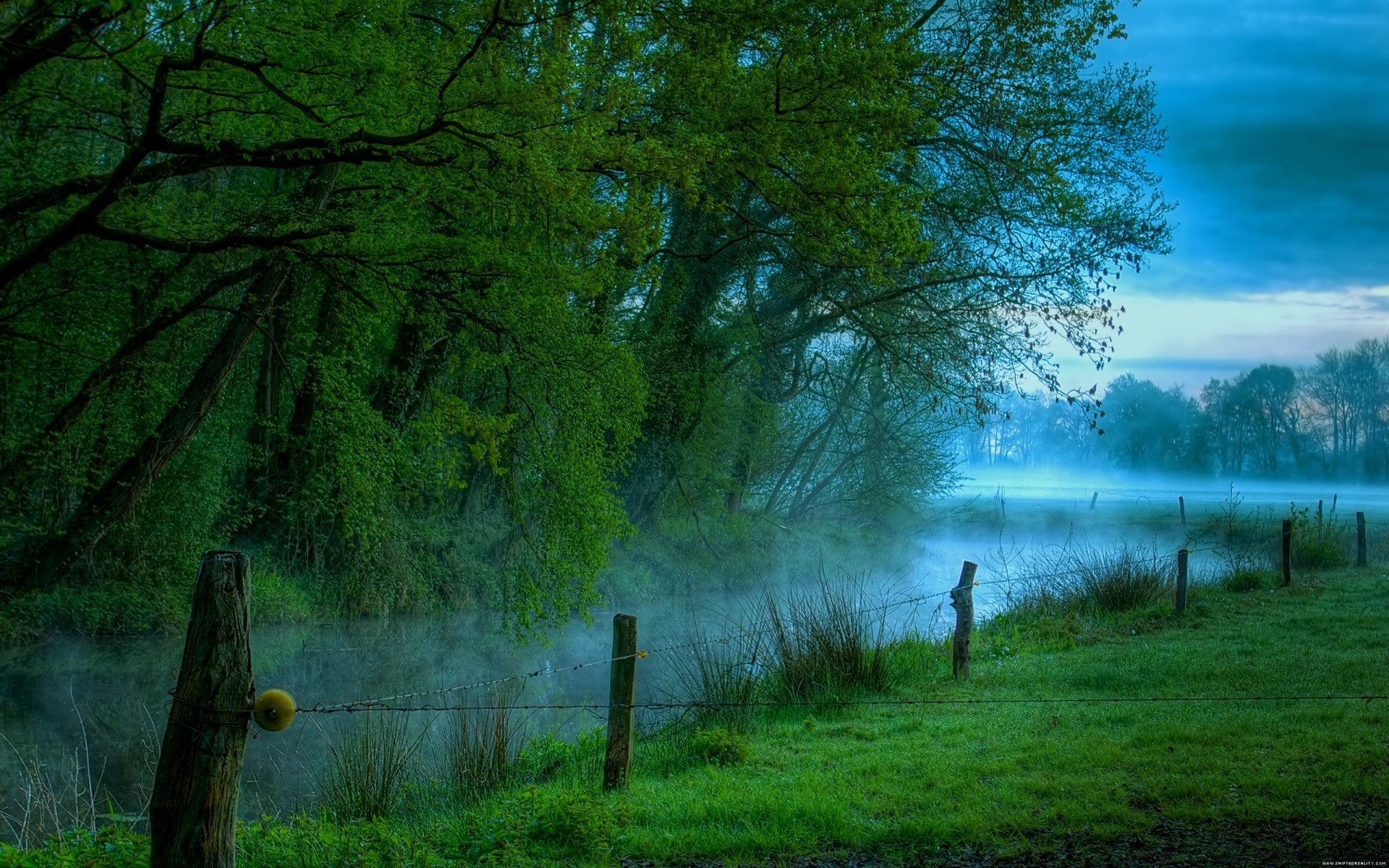 landscapes dawn landscape tree wood nature sun outdoors mist light fog fair weather fall lake park scenic sunset daylight water grass