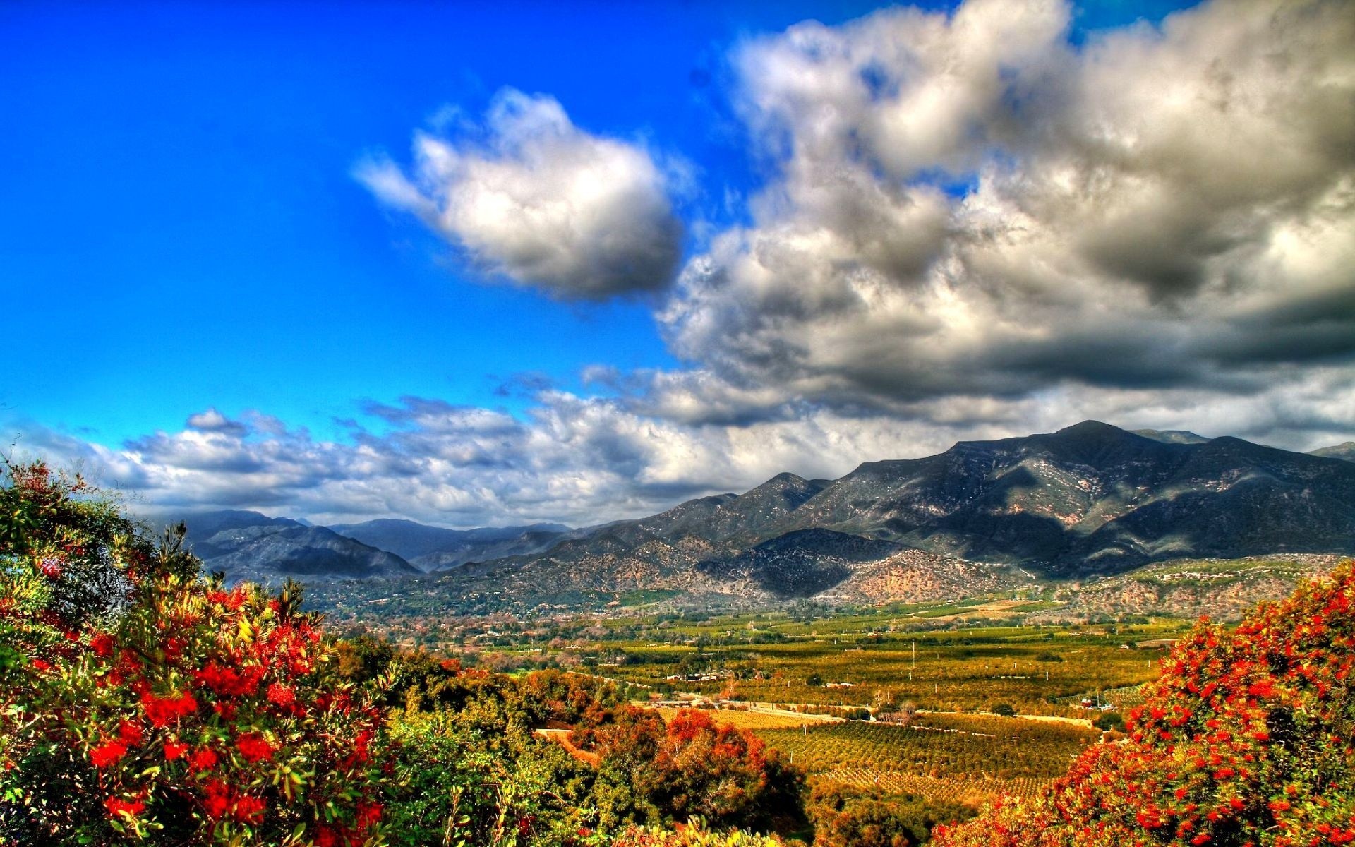 landscapes landscape sky nature mountain outdoors travel scenic tree sight cloud hill fall fair weather wood