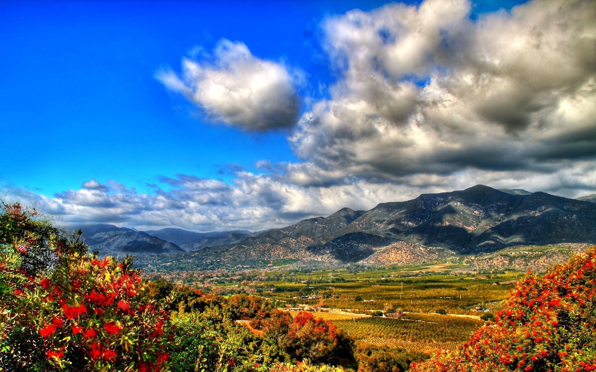 landscapes landscape sky nature mountain outdoors travel scenic tree sight cloud hill fall fair weather wood