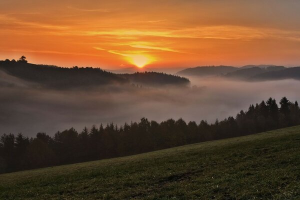 Sunset in the mountains above the fog in the forest