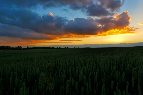 See off the sunset meet the dawn