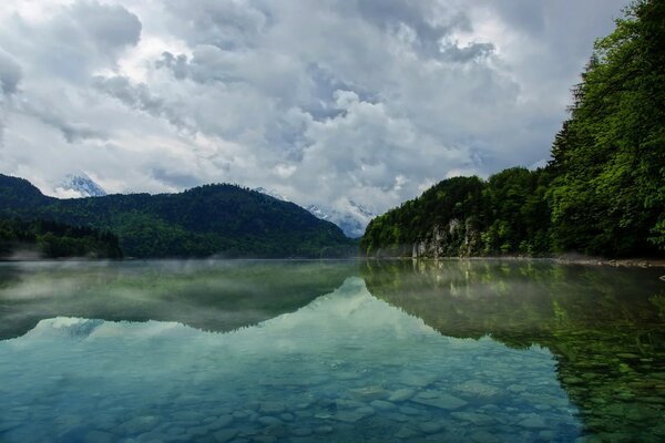 Landscape lake in the forest thicket