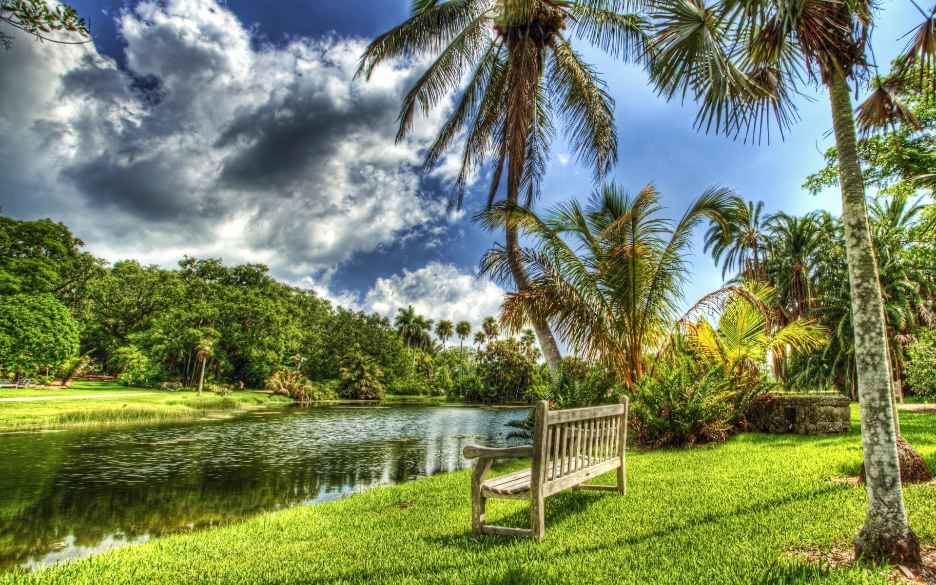 rivers ponds and streams tree palm tropical summer nature grass water garden travel sky outdoors landscape flora idyllic beautiful park lawn